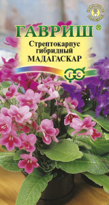 Стрептокарпус гибридный Мадагаскар смесь  купить