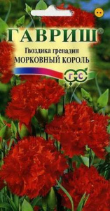 Гвоздика гренадин Морковный Король  купить