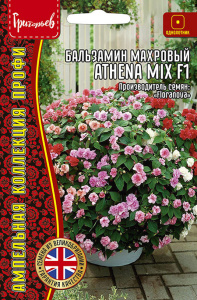 Бальзамин Афина F1 Микс (Athena Mix) F1 амп. купить