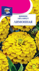 Цинния лиллипут Лимонная  купить