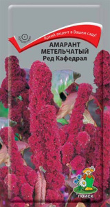 Амарант метельчатый Ред Кафедрал купить