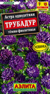 Астра Трубадур тёмно-фиолетовая Satimex купить
