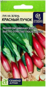 Лук Красный Пучок на зелень купить