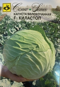 Капуста Киластоп F1  купить