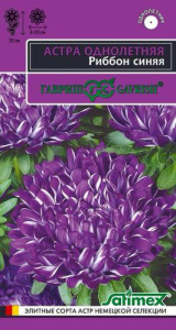 Астра Риббон синяя  купить