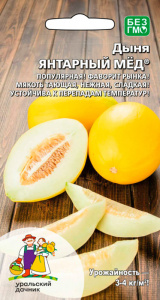 Дыня Янтарный мёд  купить