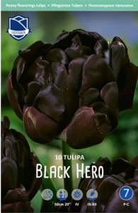 Тюльпан Блэк Хиро /10шт купить