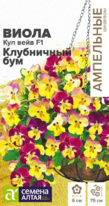 Виола Кул Вейв F1 Клубничный бум ампельная купить