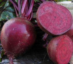 Свекла Пабло 50 000 шт (3.00-3.50мм) купить