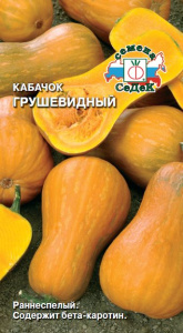 Кабачок Грушевидный  купить