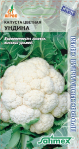 Капуста (цветная) Ундина  купить