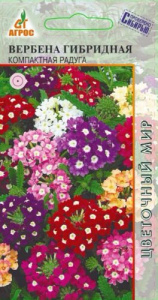 Вербена Гибридная Компактная Радуг  купить