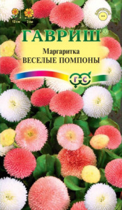 Маргаритка Веселые Помпоны  купить