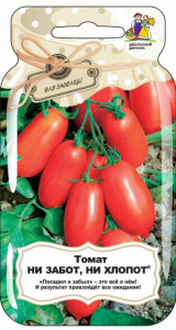 Томат Ни забот , ни хлопот Банка купить