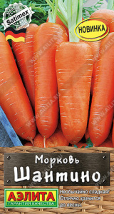 Морковь Шантино  купить