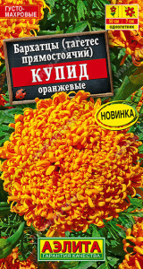 Бархатцы Купид оранжевые хризантемовидные купить