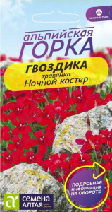 Гвоздика травянка Ночной Костер многолетник купить