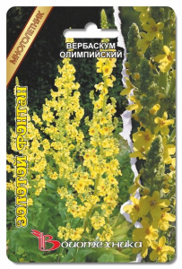 Вербаскум олимп.золотой Фонтан 100 шт купить