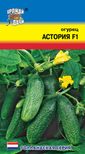 Огурец Астория F1 купить