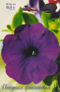 Петуния Фиолетовая/1шт купить