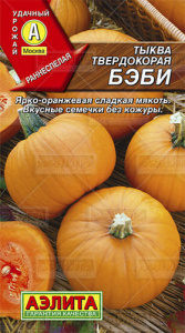 Тыква Бэби твердокорая  купить