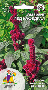 Амарант Ред Кафедрал купить
