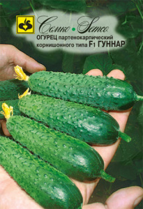 Огурец Гуннар F1  купить
