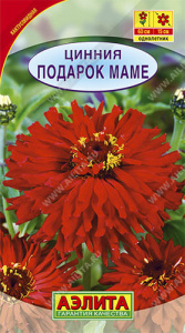 Цинния Подарок маме  купить