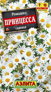 Ромашка Принцесса садовая купить