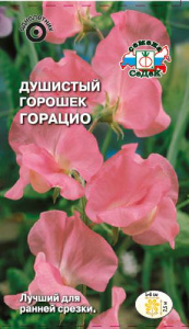 Душистый горошек Горацио купить