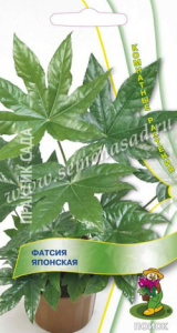 Фатсия японская  купить