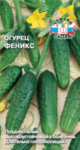 Огурец Феникс  купить