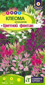 Клеома Цветной фонтан  купить