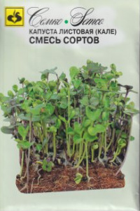 Капуста (листовая) Кале (смесь)   купить