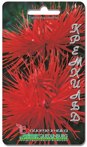 Астра Валькирия Кремхильд  купить