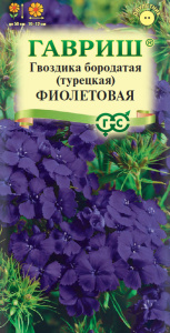 Гвоздика Фиолетовая турецкая купить