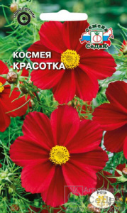 Космея Красотка купить