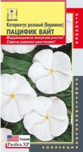 Катарантус розовый (Барвинок) Пацифик Вайт  купить