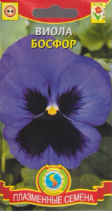 Виола Босфор  купить