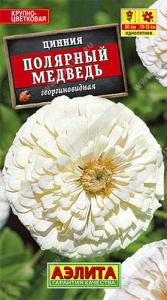 Цинния Полярный медведь  купить