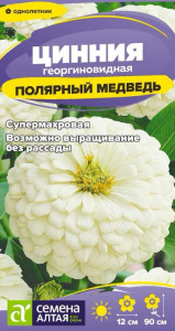 Цинния Полярный Медведь  купить