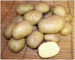 Картофель семенной Голубизна 2кг/10 купить