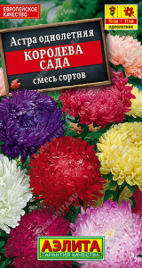 Астра Королева сада, смесь  купить