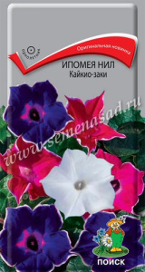 Ипомея нил Кайкио-заки купить