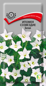 Ипомея Созвездие Белая  купить