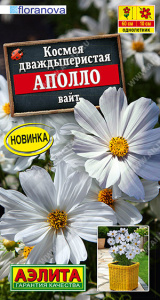 Космея Аполло вайт Floranova купить