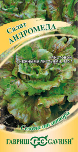 Салат Андромеда  кудрявый автор. купить