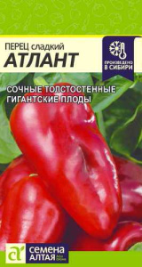Перец Атлант  купить