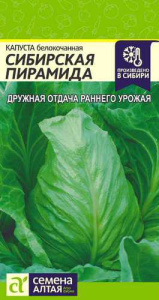 Капуста Сибирская пирамида купить