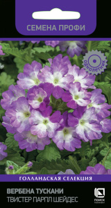 Вербена Тускани Твистер Парпл Шейдес купить